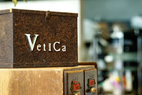 VeLO/vetica2